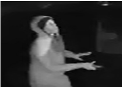 Hunter Greene car burglary suspect