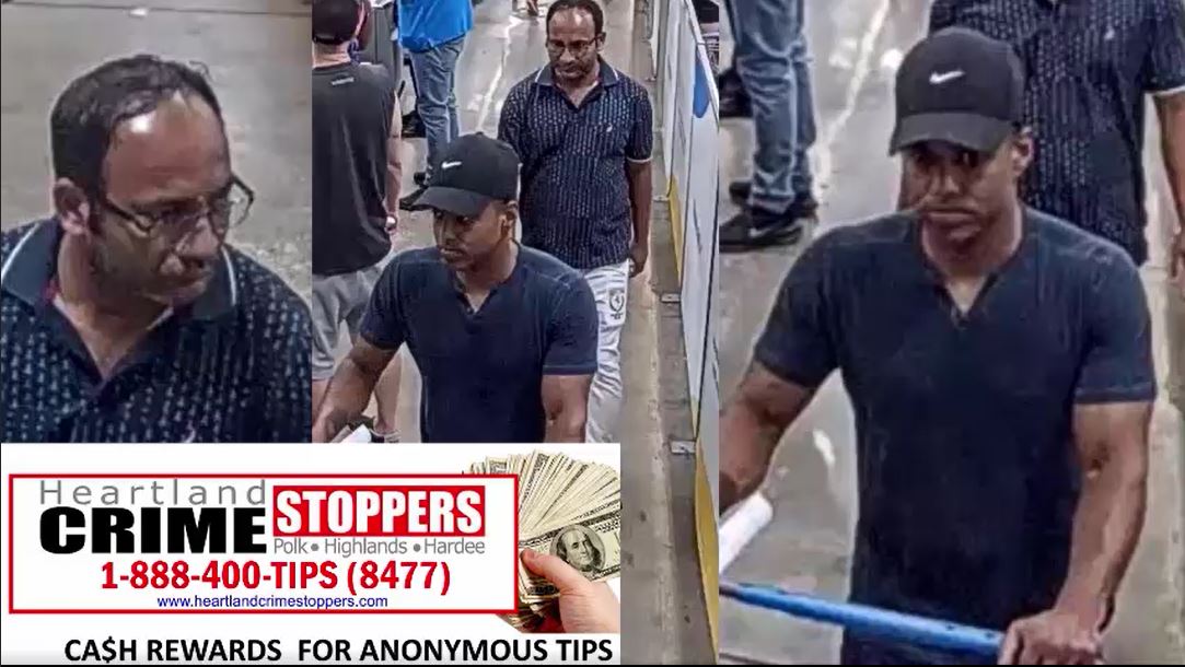 Credit card theft suspects